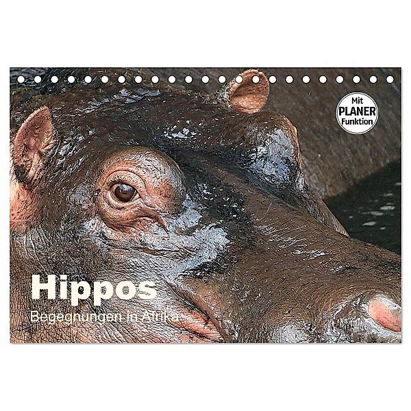 Hippos - Begegnungen in Afrika (Tischkalender 2024 DIN A5 quer), CALVENDO Monatskalender, Michael Herzog