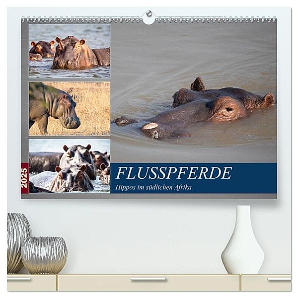 Hippos im südlichen Afrika (hochwertiger Premium Wandkalender 2025 DIN A2 quer), Kunstdruck in Hochglanz, Calvendo, Udo Quentin
