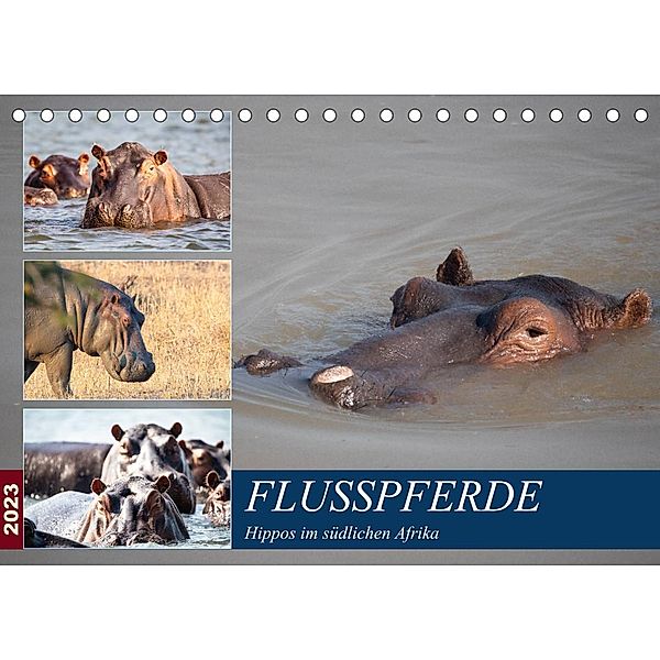 Hippos im südlichen Afrika (Tischkalender 2023 DIN A5 quer), Udo Quentin