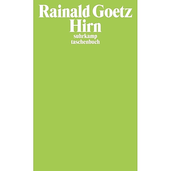 Hirn, Rainald Goetz