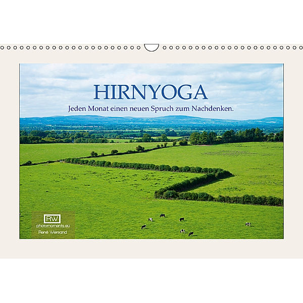 Hirnyoga (Wandkalender 2019 DIN A3 quer), René Wersand