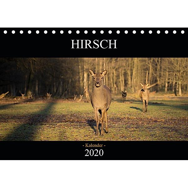 Hirsch Kalender 2020 (Tischkalender 2020 DIN A5 quer), David Daniel