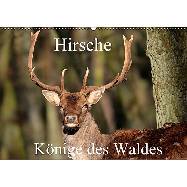 Hirsche - Könige des Waldes/Geburtstagskalender (Wandkalender 2018 DIN A2 quer) Dieser erfolgreiche Kalender wurde diese, Arno Klatt