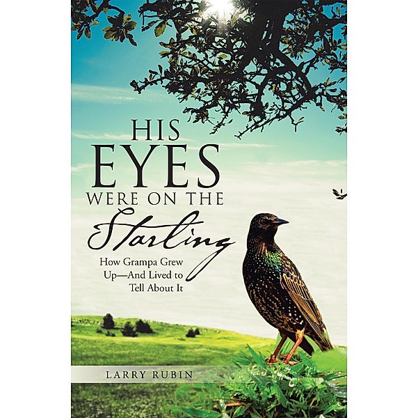 His Eyes Were on the Starling, Larry Rubin