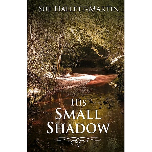 His Small Shadow / Matador, Sue Hallett-Martin