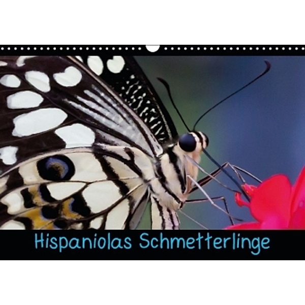 Hispaniolas Schmetterlinge (Wandkalender 2016 DIN A3 quer), Nicole Bleck
