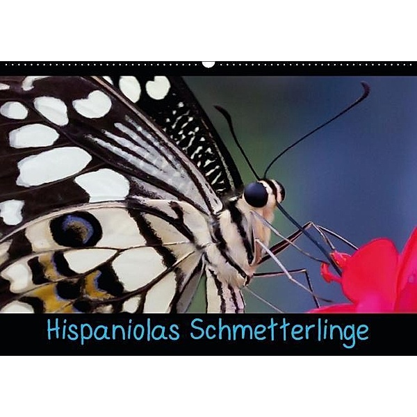 Hispaniolas Schmetterlinge (Wandkalender 2017 DIN A2 quer), Nicole Bleck