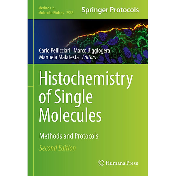 Histochemistry of Single Molecules