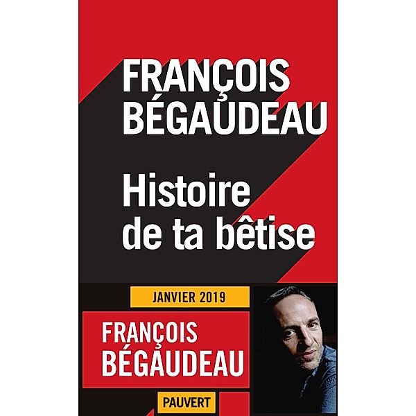 Histoire de ta bêtise / Littérature française, François Bégaudeau