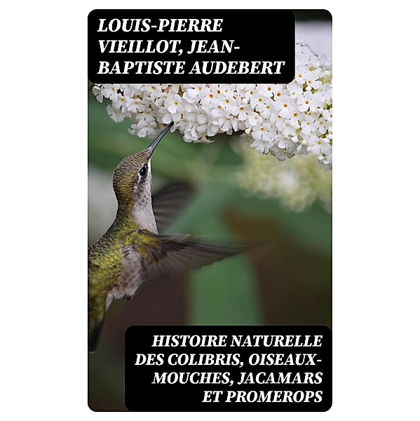 Histoire naturelle des colibris, oiseaux-mouches, jacamars et promerops, Louis-Pierre Vieillot, Jean-Baptiste Audebert