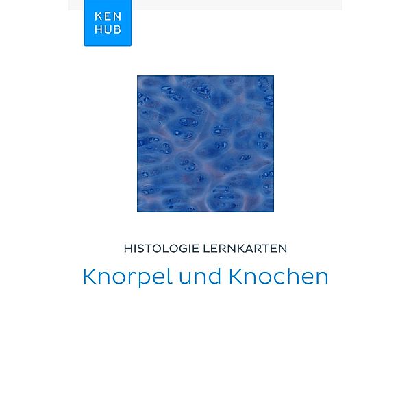 Histologie Lernkarten: Knorpel und Knochen / Kenhub Lernkarten Bd.50