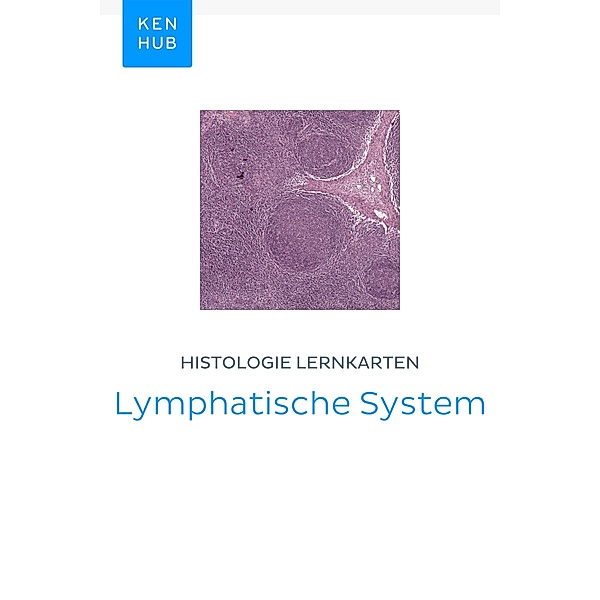 Histologie Lernkarten: Lymphatische System / Kenhub Lernkarten Bd.74