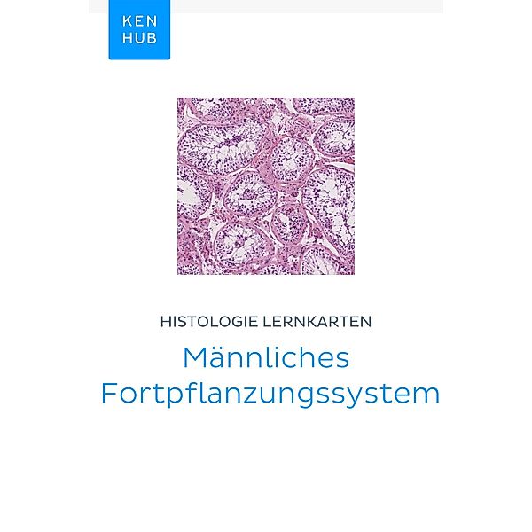 Histologie Lernkarten: Männliches Fortpflanzungssystem / Kenhub Lernkarten Bd.76