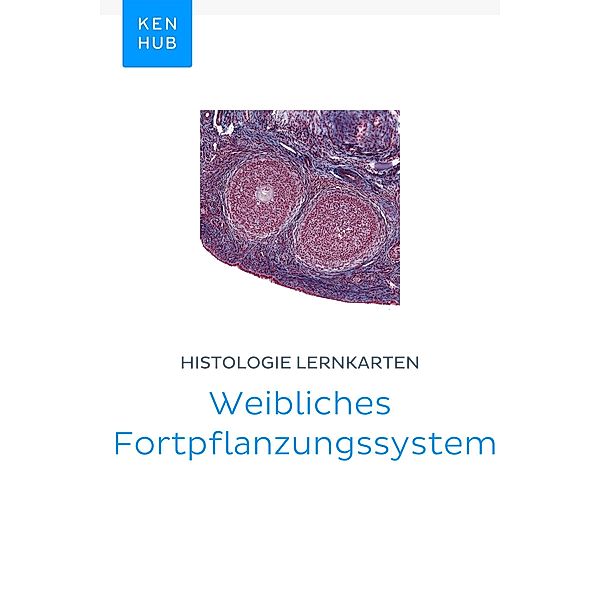 Histologie Lernkarten: Weibliches Fortpflanzungssystem / Kenhub Lernkarten Bd.79