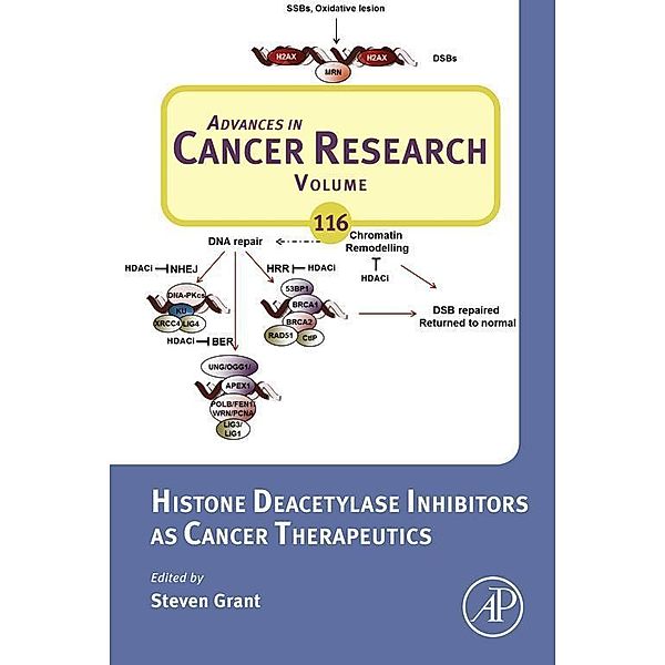 Histone Deacetylase Inhibitors as Cancer Therapeutics