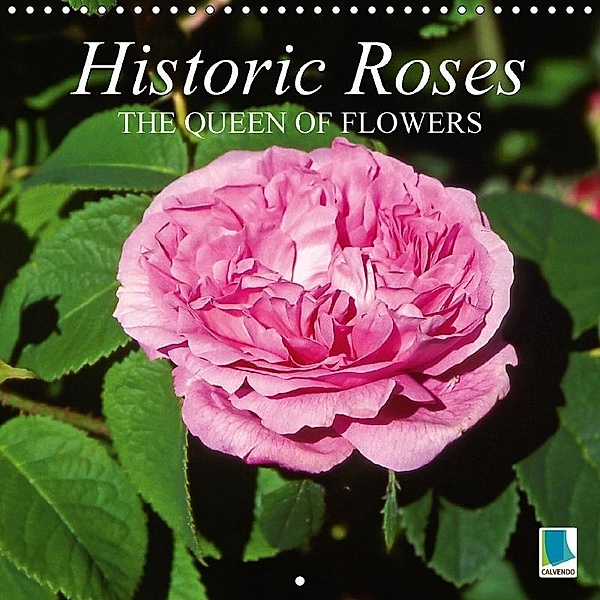 Historic Roses - The queen of flowers (Wall Calendar 2017 300 × 300 mm Square), k.A. CALVENDO