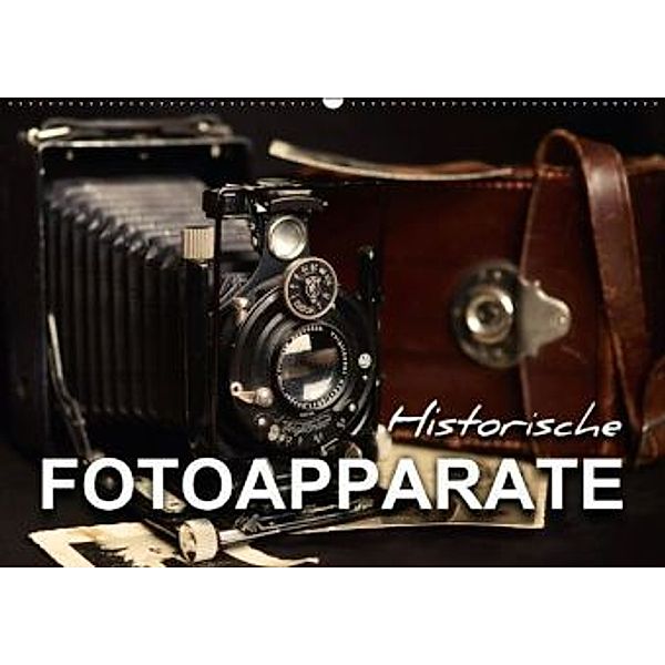 Historische Fotoapparate (Wandkalender 2016 DIN A2 quer), Renate Bleicher