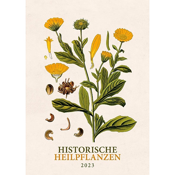 Historische Heilpflanzen. Wandkalender 2023