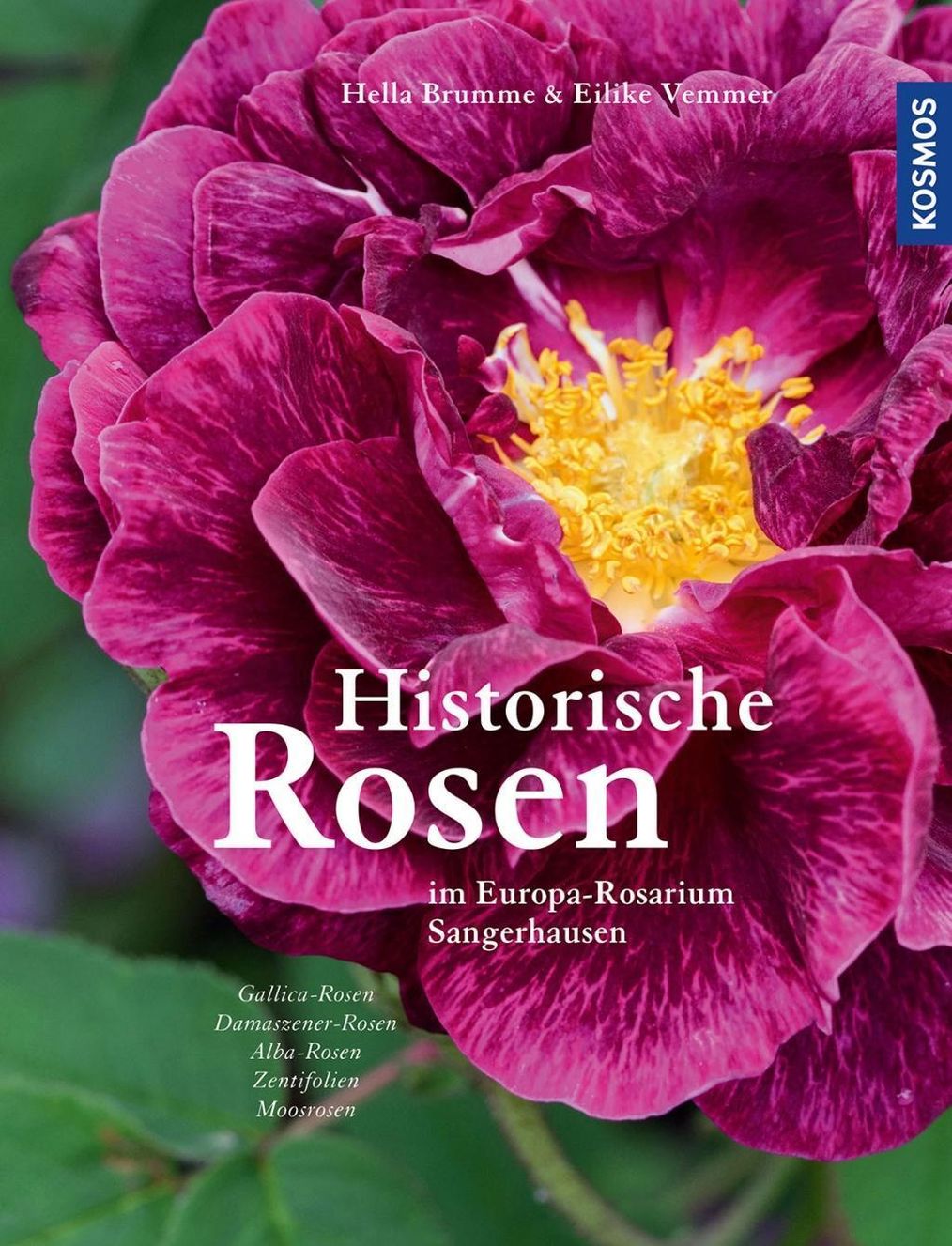 Historische Rosen Buch von Hella Brumme versandkostenfrei bei Weltbild.de