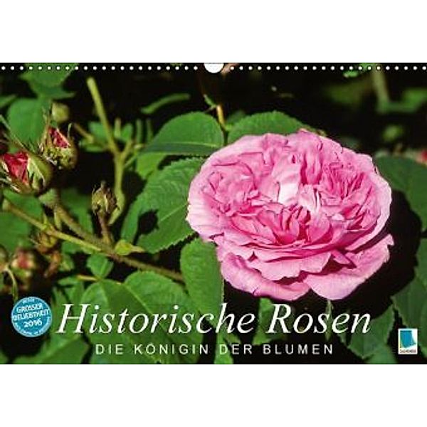Historische Rosen - die Königin der Blumen (Wandkalender 2016 DIN A3 quer), Calvendo