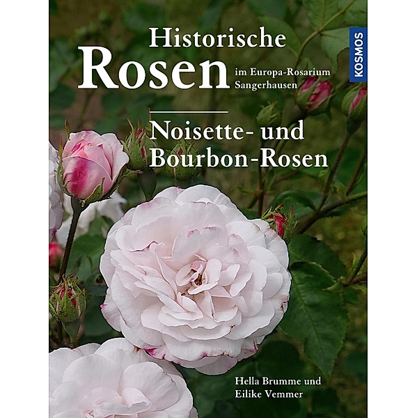 Historische Rosen im Europa Rosarium Sangerhausen: Noisette- und Bourbon-Rosen, Hella Brumme, Eilike Vemmer