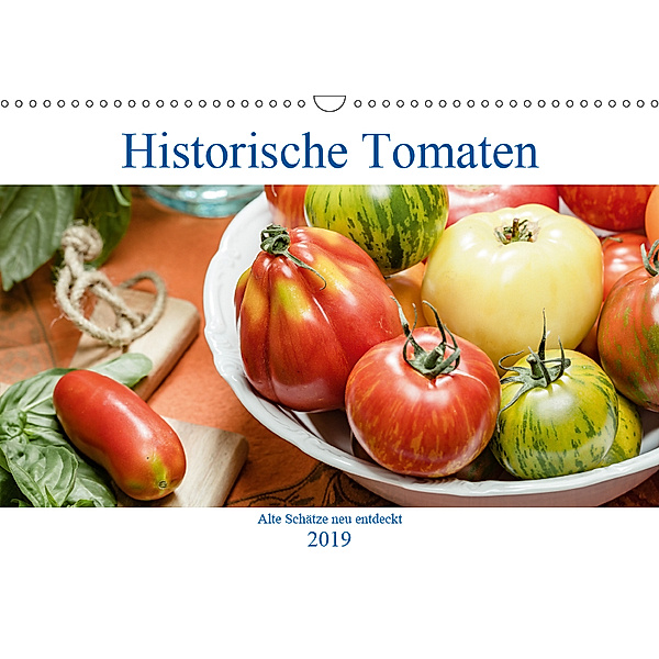 Historische Tomaten - Alte Schätze neu entdeckt (Wandkalender 2019 DIN A3 quer), Dieter Meyer