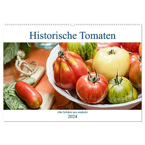 Historische Tomaten - Alte Schätze neu entdeckt (Wandkalender 2024 DIN A2 quer), CALVENDO Monatskalender, Dieter Meyer