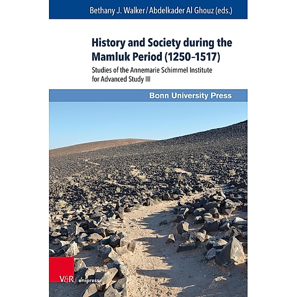 History and Society during the Mamluk Period (1250-1517) / Mamluk Studies Bd.24