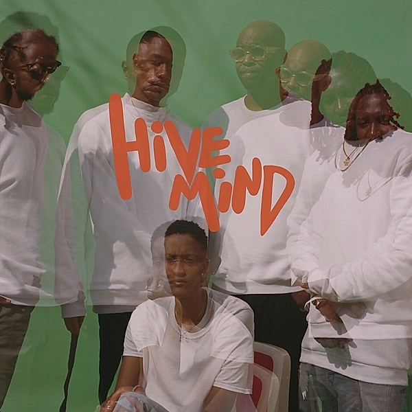 Hive Mind (Vinyl), The Internet