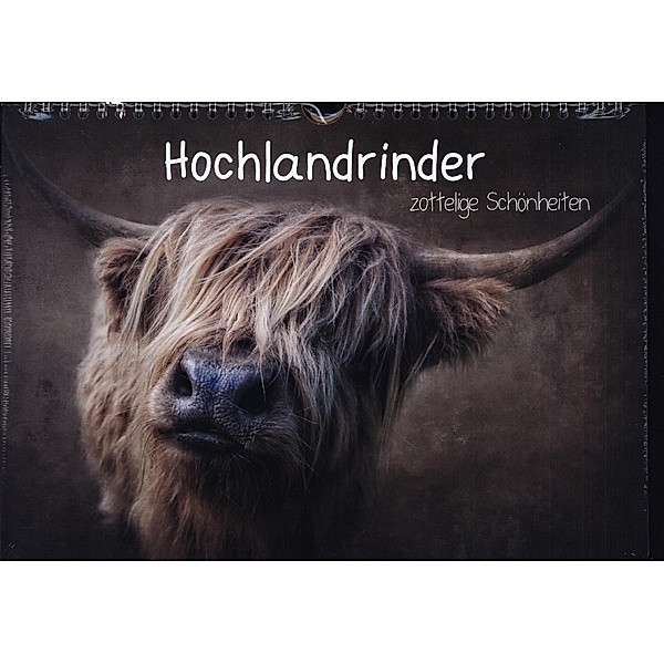 Hochlandrinder - Zottelige Schönheiten (Wandkalender 2024 DIN A4 quer), CALVENDO Monatskalender, Claudia Moeckel