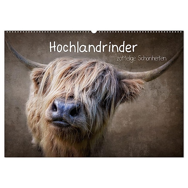 Hochlandrinder - Zottelige Schönheiten (Wandkalender 2024 DIN A2 quer), CALVENDO Monatskalender, Claudia Moeckel