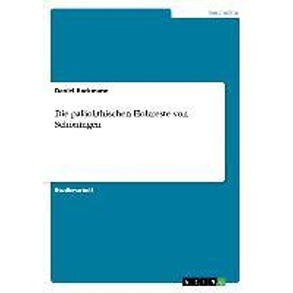 Hockmann, D: Die paläolithischen Holzreste von Schöningen, Daniel Hockmann