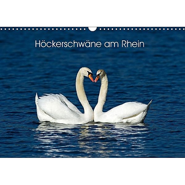 Höckerschwäne am Rhein (Wandkalender 2018 DIN A3 quer), Ronald Wittek