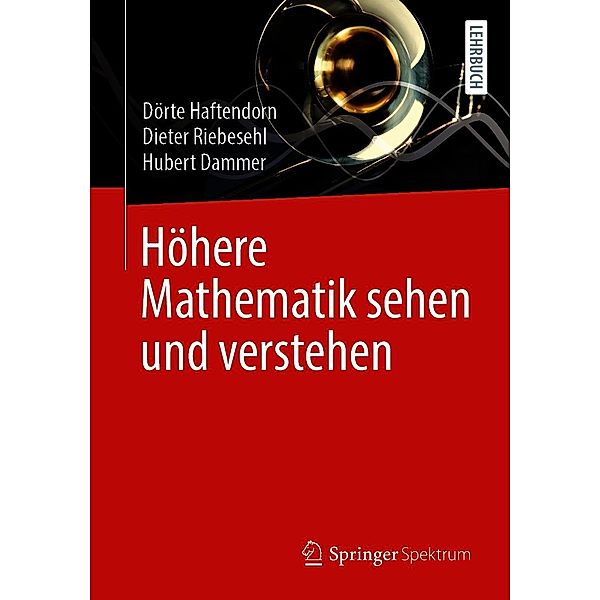 Höhere Mathematik sehen und verstehen, Dörte Haftendorn, Dieter Riebesehl, Hubert Dammer