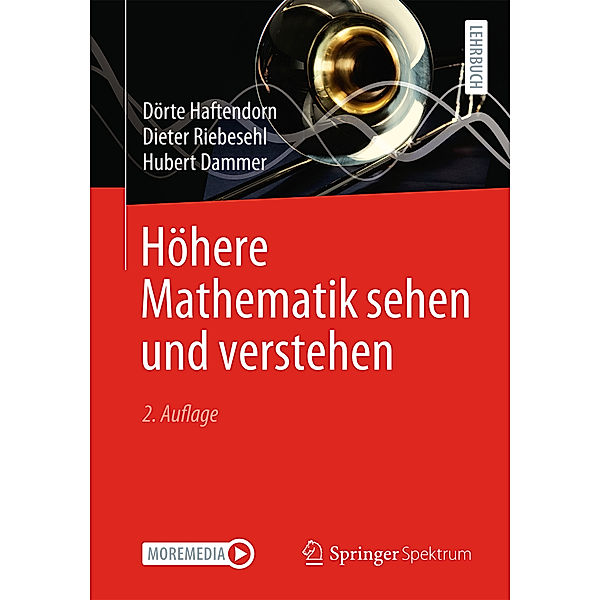 Höhere Mathematik sehen und verstehen, Dörte Haftendorn, Dieter Riebesehl, Hubert Dammer