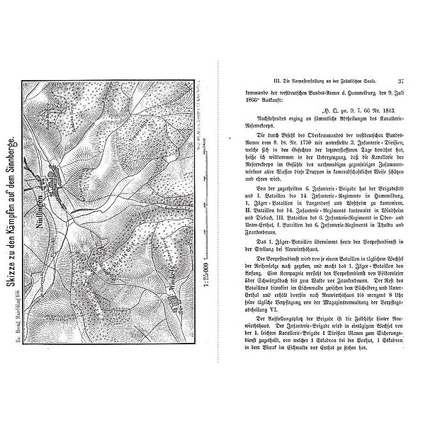 Hoenig, F: Entscheidungskämpfe des Mainfeldzuges, Fritz Hoenig