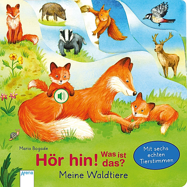 Hör hin! Was ist das? Meine Waldtiere, m. Soundeffekten, Bärbel Müller