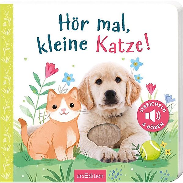 Hör mal, kleine Katze!