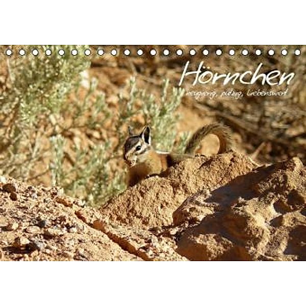 Hörnchen - neugierig, putzig, liebenswert (Tischkalender 2016 DIN A5 quer), Jana Thiem-Eberitsch