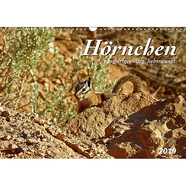 Hörnchen - neugierig, putzig, liebenswert (Wandkalender 2019 DIN A3 quer), Jana Thiem-Eberitsch