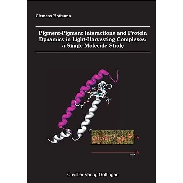 Hofmann, C: Pigment-Pigment Interactions and Protein Dynamic, Clemens Hofmann