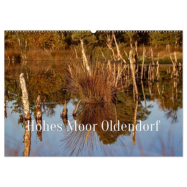 Hohes Moor Oldendorf (Wandkalender 2024 DIN A2 quer), CALVENDO Monatskalender, Wiebke von der Heyde