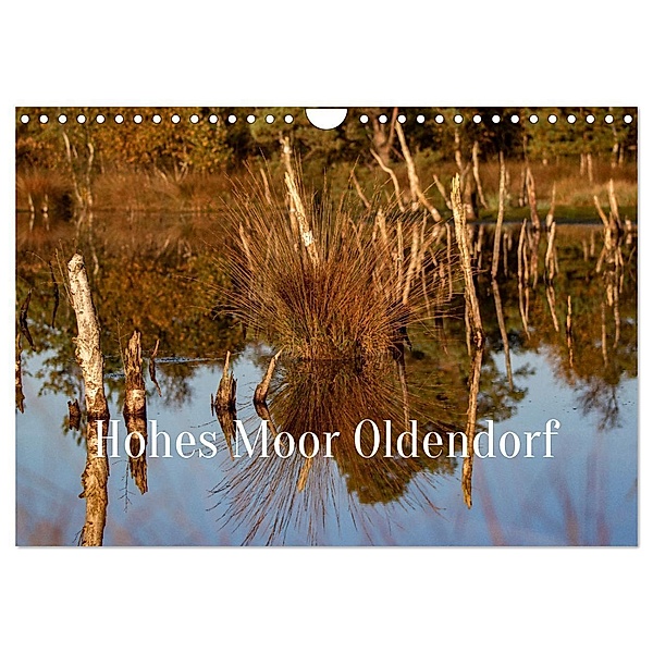 Hohes Moor Oldendorf (Wandkalender 2024 DIN A4 quer), CALVENDO Monatskalender, Wiebke von der Heyde