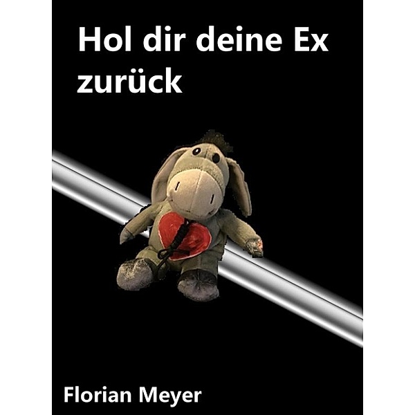 Hol dir deine Ex zurück, Florian Meyer