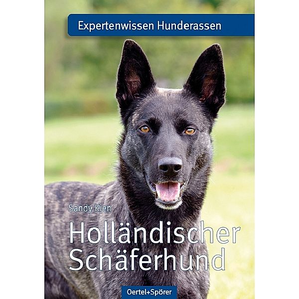 Holländischer Schäferhund, Sandy Kien