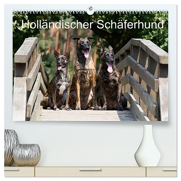 Holländischer Schäferhund (hochwertiger Premium Wandkalender 2024 DIN A2 quer), Kunstdruck in Hochglanz, Fotodesign Verena Scholze