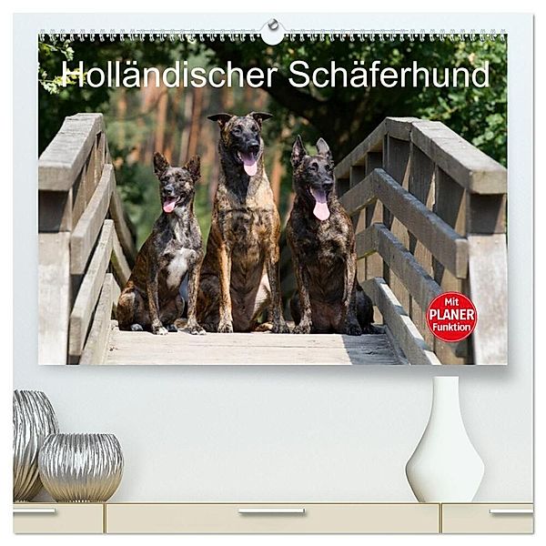 Holländischer Schäferhund (hochwertiger Premium Wandkalender 2025 DIN A2 quer), Kunstdruck in Hochglanz, Calvendo, Fotodesign Verena Scholze