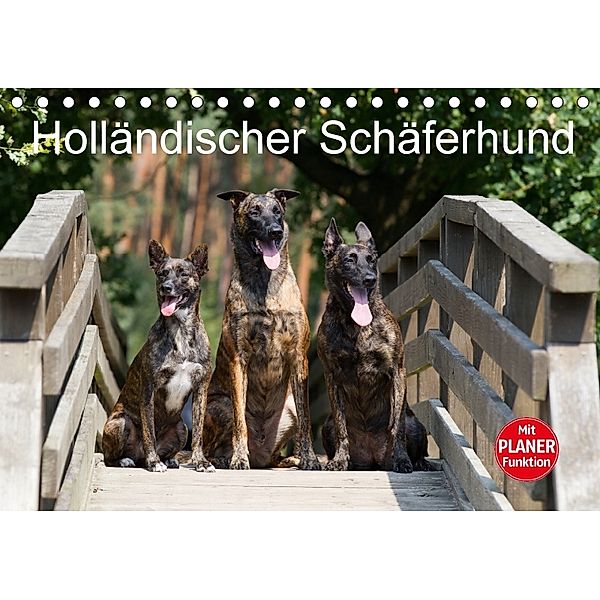 Holländischer Schäferhund (Tischkalender 2018 DIN A5 quer), Verena Scholze