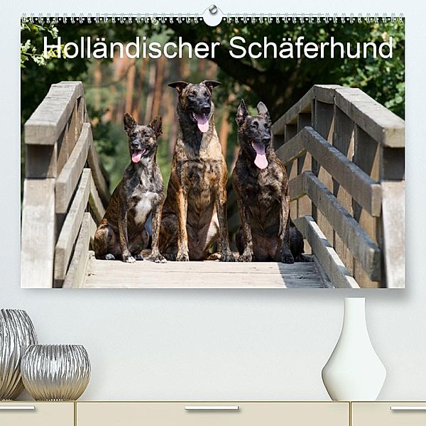 Holländischer Schäferhund(Premium, hochwertiger DIN A2 Wandkalender 2020, Kunstdruck in Hochglanz), Verena Scholze