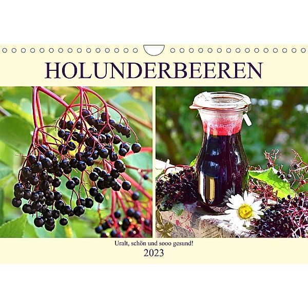 Holunderbeeren. Uralt, schön und sooo gesund! (Wandkalender 2023 DIN A4 quer), Rose Hurley